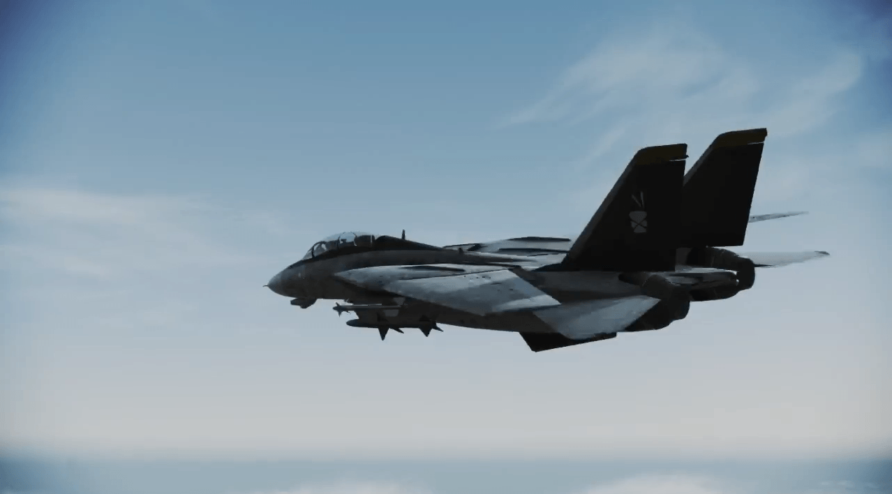 F-14 ミッキーモデル[エースコンバット インフィニティ]